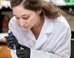 Engineered human neurons rebuild damaged spinal cord circuits Lana Zholudeva, Ph.D. 300x300