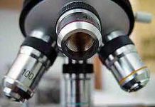 State to Fund Spinal Cord And Brain Injury Research